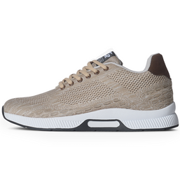 Desert Runners (aumento de 2.4