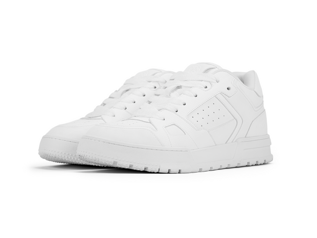 Pegasus (2,5" Boost)