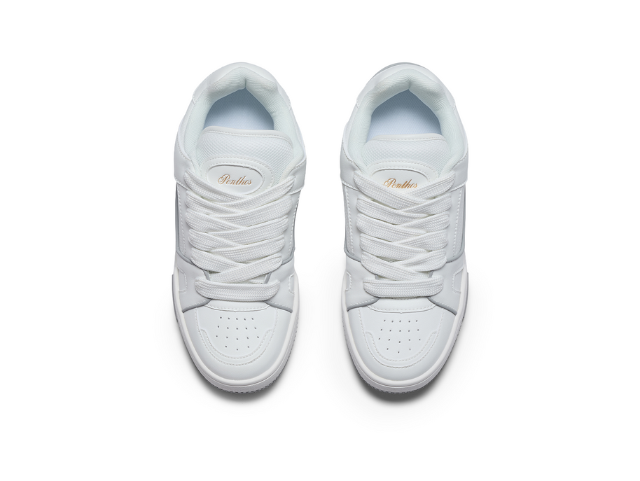 Penthos Silver (2,5" Boost)