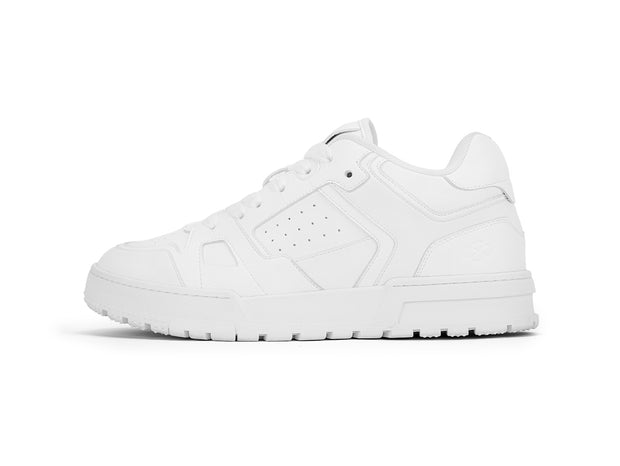 Pegasus (2,5" Boost)