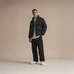 Pegasus (aumento de 2,5